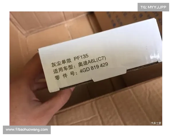 二手奥迪A6L C7通病整备清单